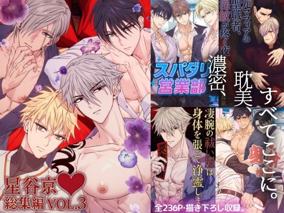 【ガン勃ちBL】星谷京総集編 VOL.3｜d_689782