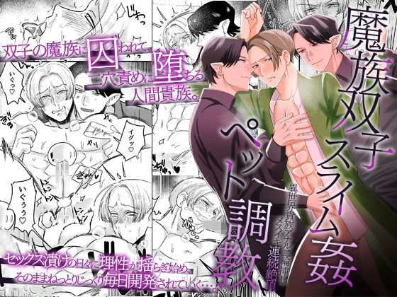 【ガン勃ちBL】魔族双子スライム姦ペット調教 〜異世界貴族アナル二輪挿しメスイキ連続絶頂〜｜d_725028
