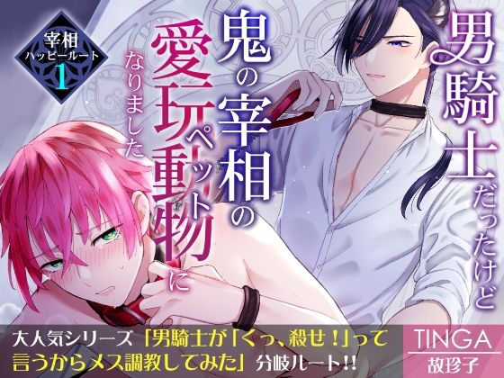 【ガン勃ちBL】男騎士だったけど鬼の宰相の愛玩動物（ペット）になりました（1）｜d_241545