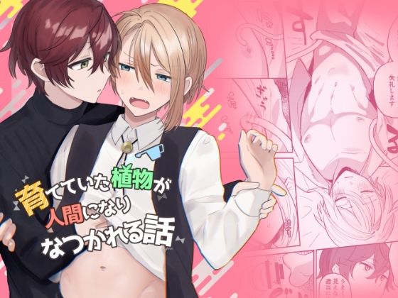 【ガン勃ちBL】育てていた植物が人間になりなつかれる話｜d_448930