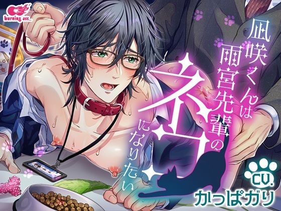 【ガン勃ちBL】凪咲くんは雨宮先輩のネコになりたい｜d_409296