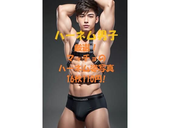 【ガン勃ちBL】ハーネム男子｜d_425983