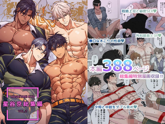 【ガン勃ちBL】星谷京 総集編 VOL.2【FANZA限定描き下ろし漫画付き】｜d_476408