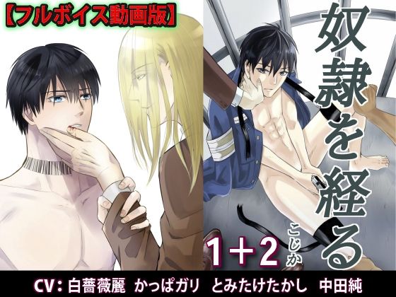 【ガン勃ちBL】奴●を経る1＋2【フルボイス動画版】｜d_495649