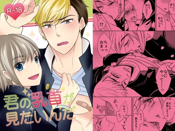 【ガン勃ちBL】君の乳首が見たいんだ｜d_547303