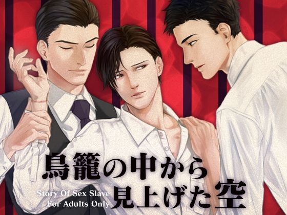 【ガン勃ちBL】鳥籠の中から見上げた空｜d_625820