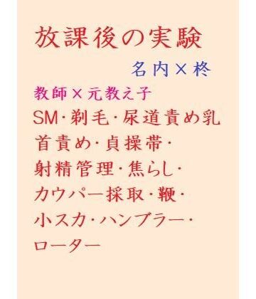 【ガン勃ちBL】放課後の実験｜d_213862