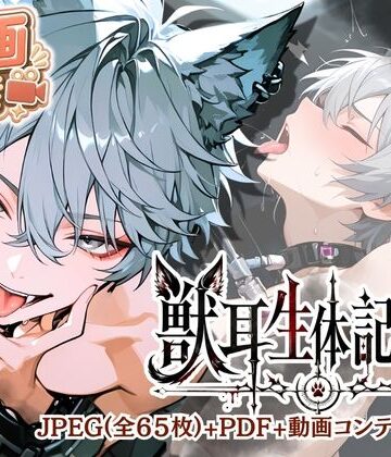 【ガン勃ちBL】008.【獣耳生体記録室】動画付き｜d_785816